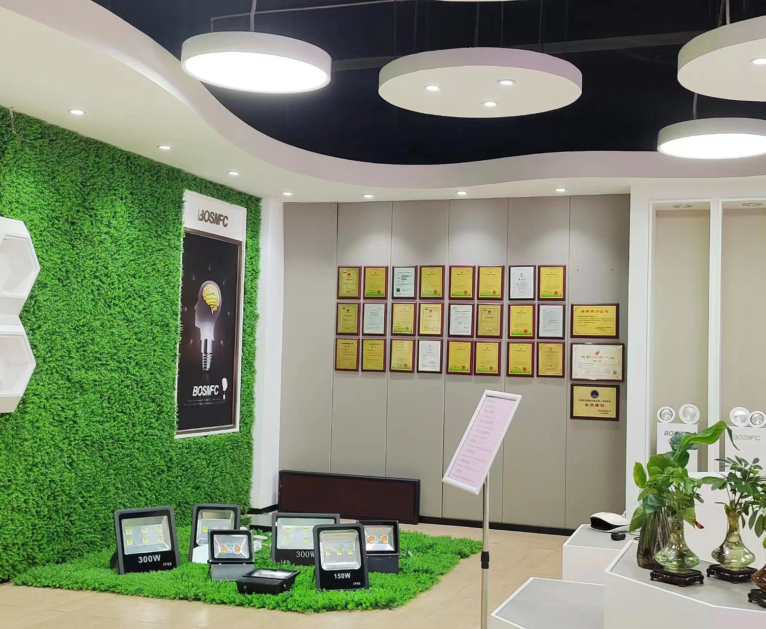 Cina Dongguan Lanjin Optoelectronics Co., Ltd. Profil Perusahaan