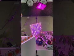 2835 SMD LED PCB spektrum penuh COB Untuk tanaman LED tumbuh cahaya