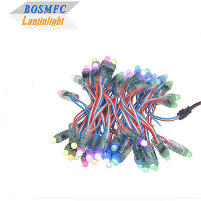 WS2811 Diffused Digital RGB LED String Lights Pixel Light 12mm Bundar