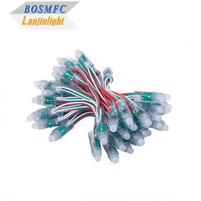 WS2811 Diffused Digital RGB LED String Lights Pixel Light 12mm Bundar